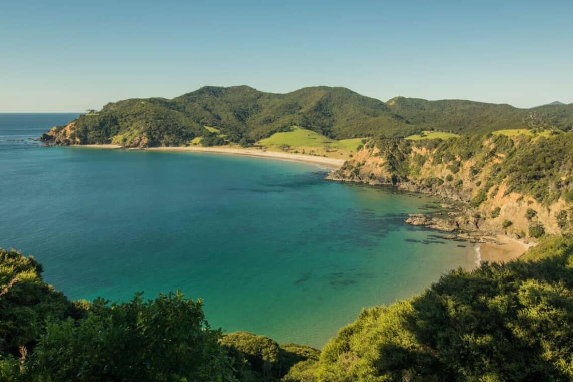 Harataonga beach as seen from the Harataonga Coastal Walkway