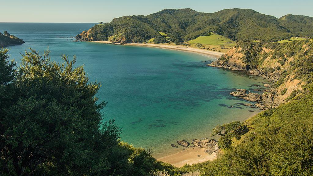 Aotea Great Barrier Island A world of its own