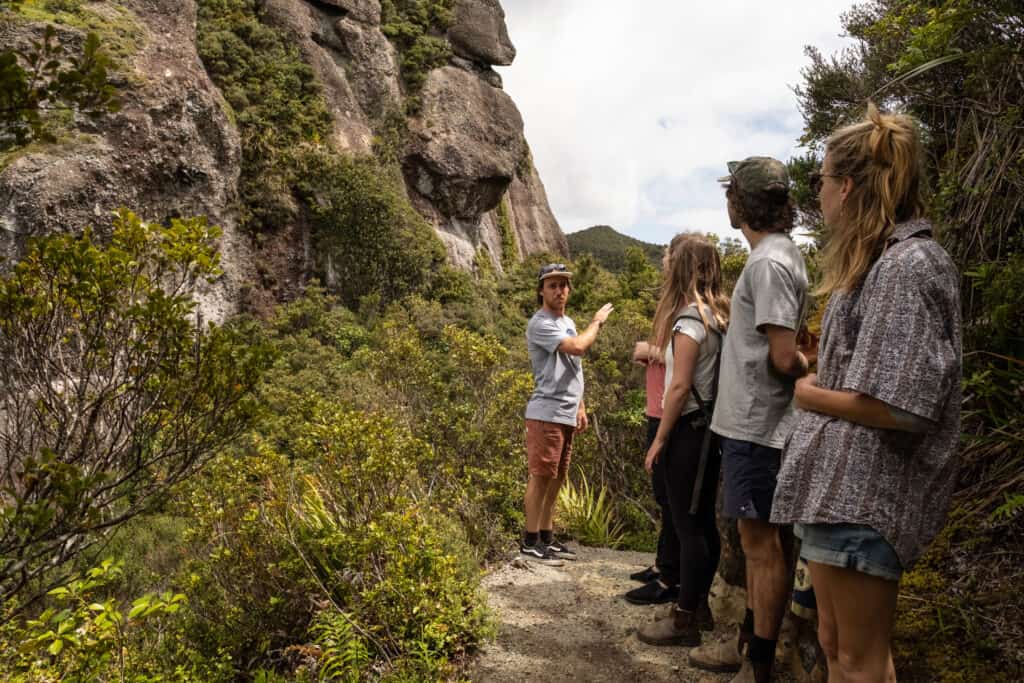 A group on a guided walking tour with Star Treks through Windy Canyon on Great Barrier Island