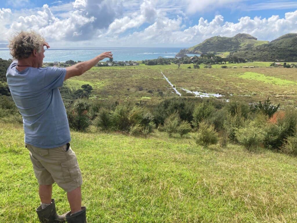 Alan Phelps overlooking swamp on Great Barrier Island