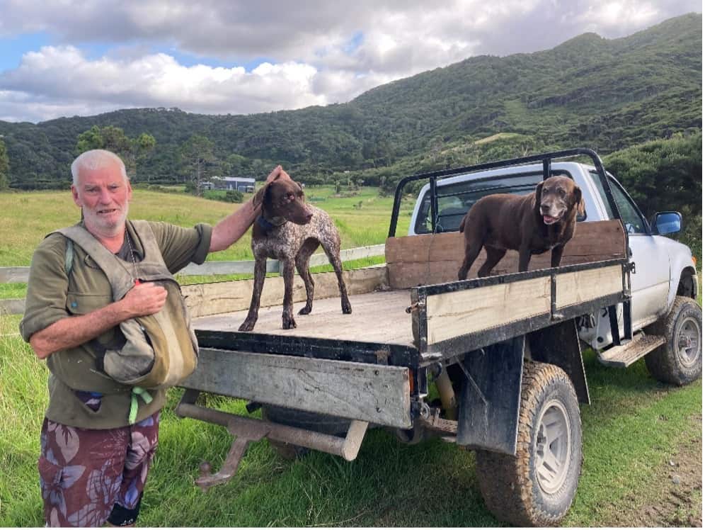 Murray Staples and GSP dogs on ute on Great Barrier Island